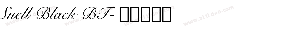 Snell Black BT字体转换